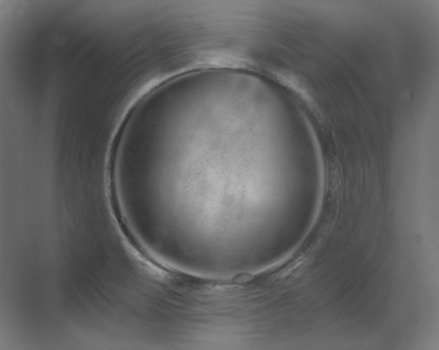 X0000073511471200607311306
