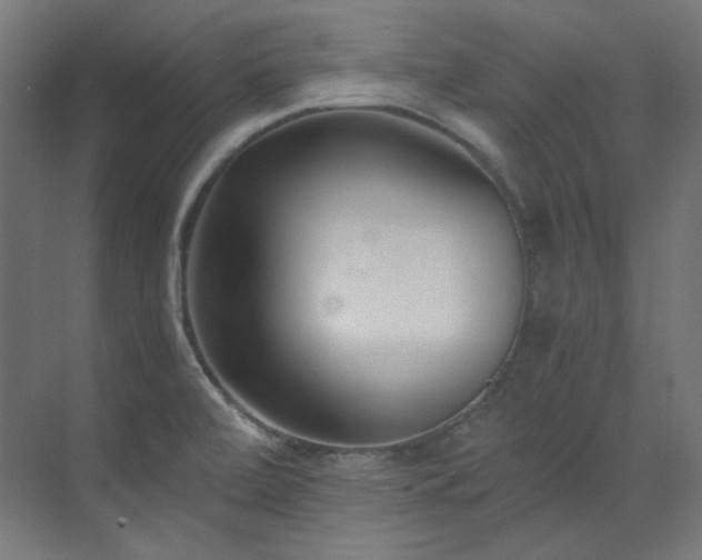 X0000073511472200607311306