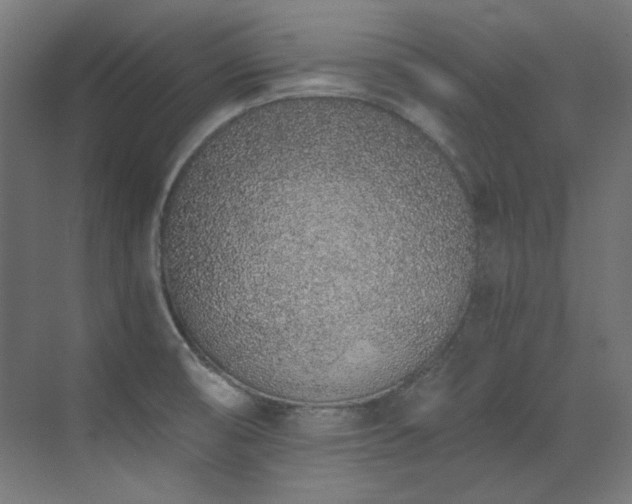 X0000073511474200607311306