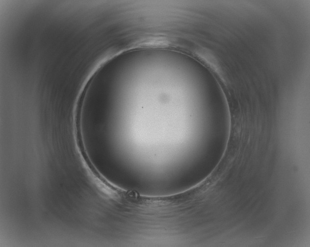 X0000073511475200607311306