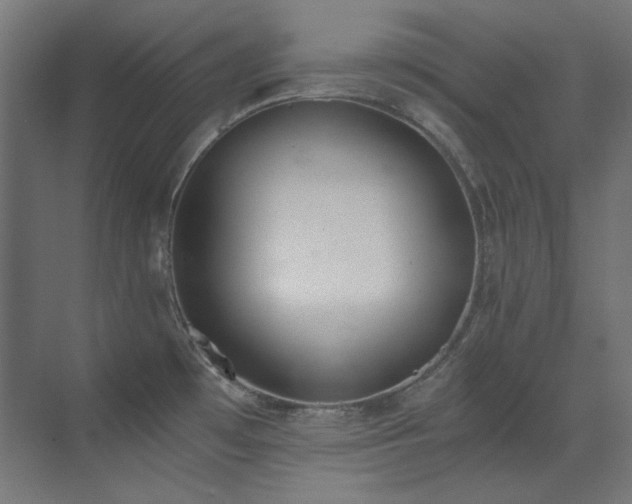 X0000073511481200607311305