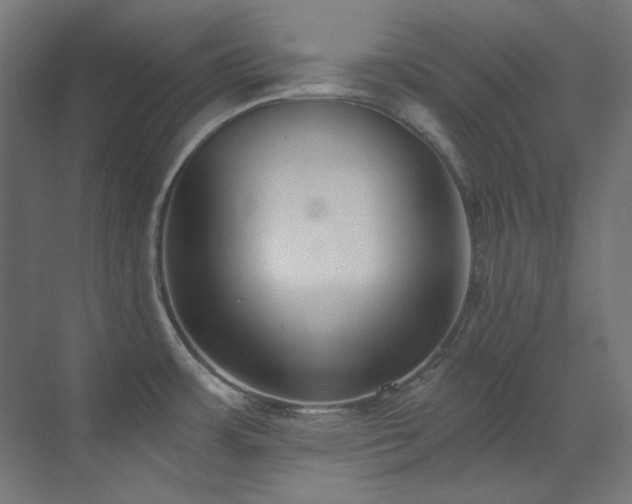 X0000073511483200607311305