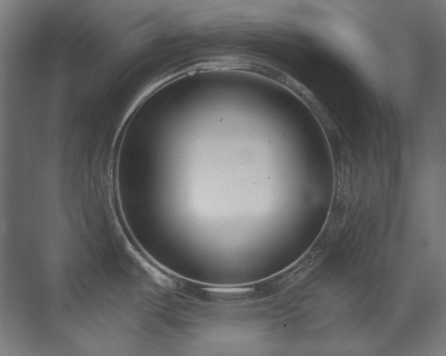 X0000073511487200607311305