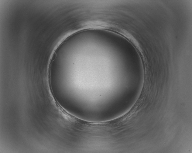 X0000073511488200607311305