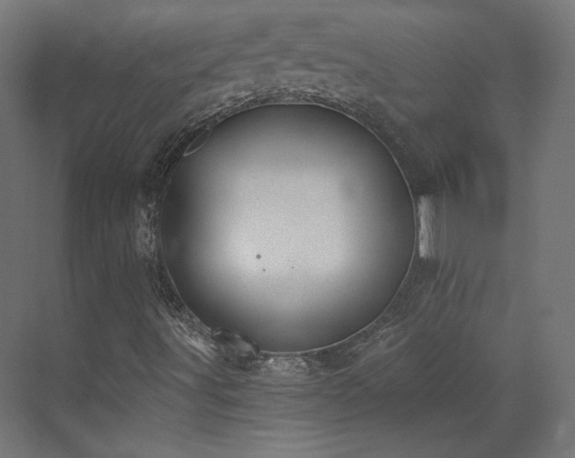 X0000073511491200607311305