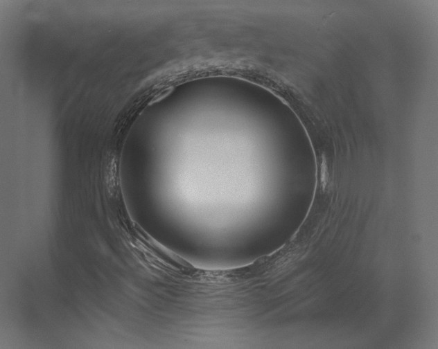 X0000073511492200607311305