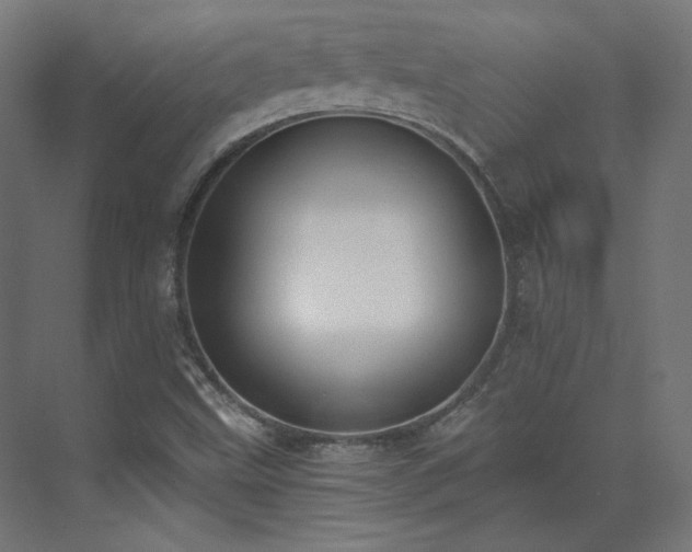X0000073511499200607311305