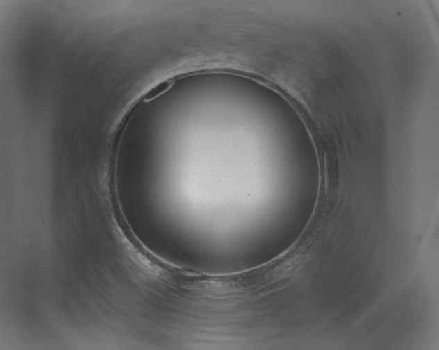 X0000073511500200607311305