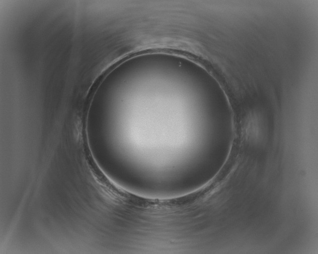 X0000073511505200607311305