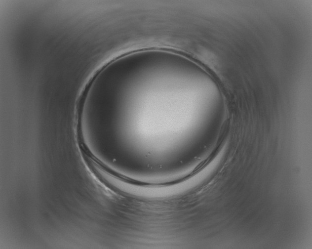X0000073511508200607311305