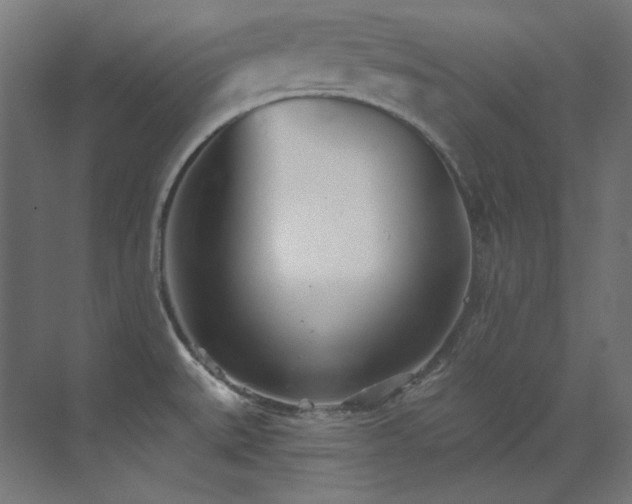 X0000073511527200607311305