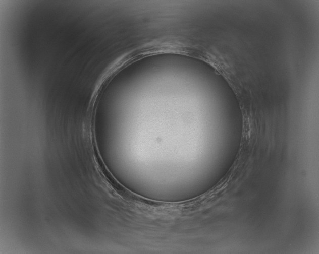 X0000073510004200608071107