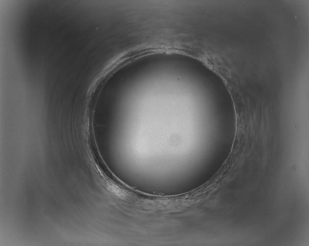 X0000073510005200608071107