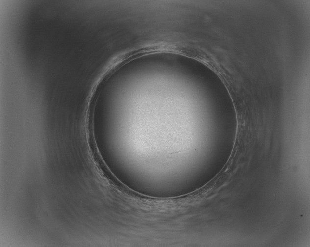 X0000073510006200608071107