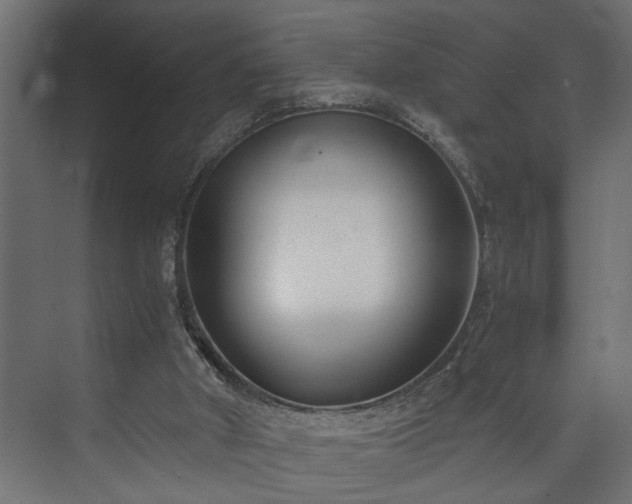 X0000073510010200608071107