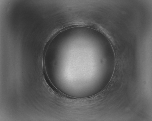 X0000073510011200608071107