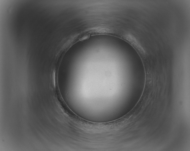 X0000073510014200608071107