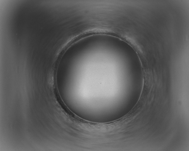 X0000073510015200608071107