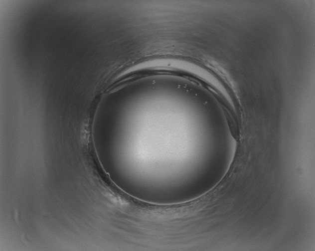 X0000073510017200608071107