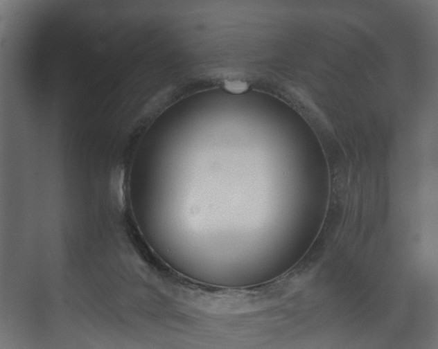 X0000073510024200608071107