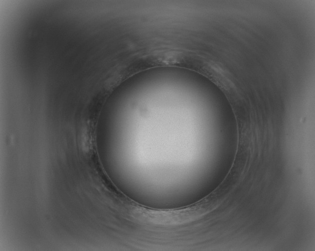 X0000073510030200608071107