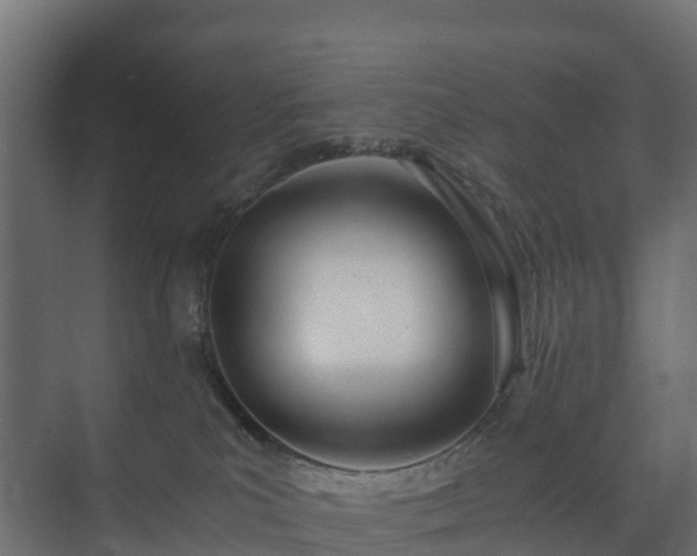 X0000073510039200608071107