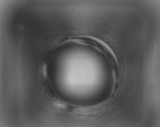 X0000073510041200608071107