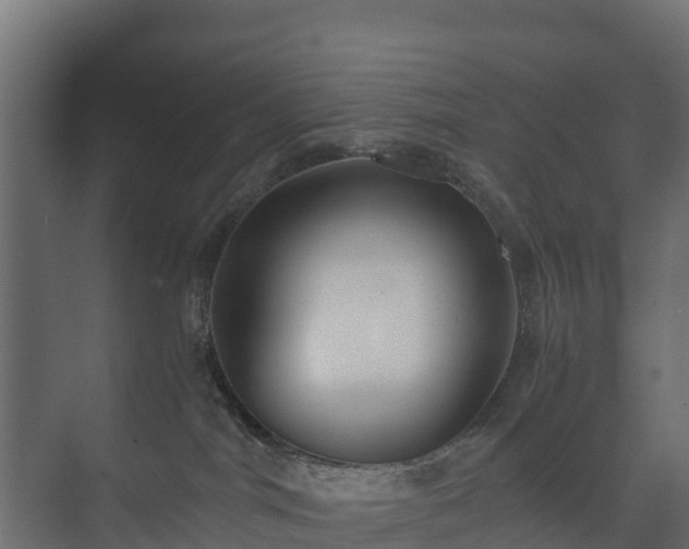 X0000073510044200608071107
