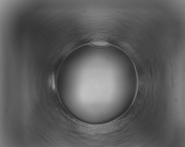 X0000073510046200608071107