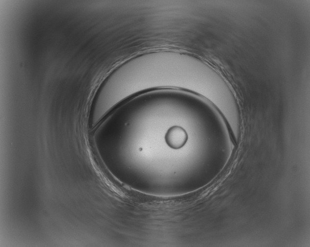 X0000073510049200608071106