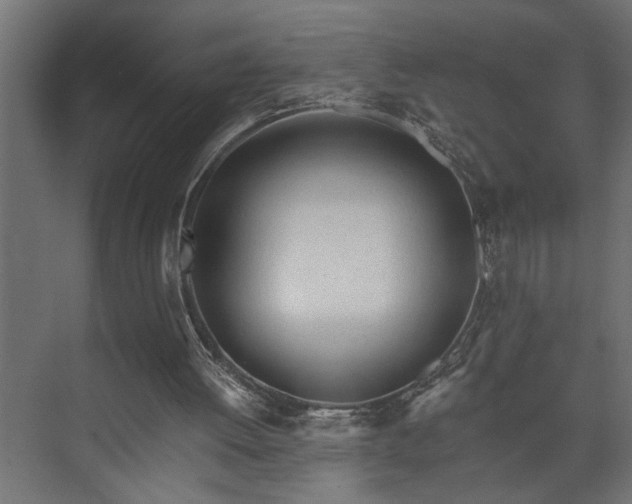 X0000073510052200608071106