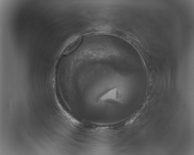 X0000073510054200608071106