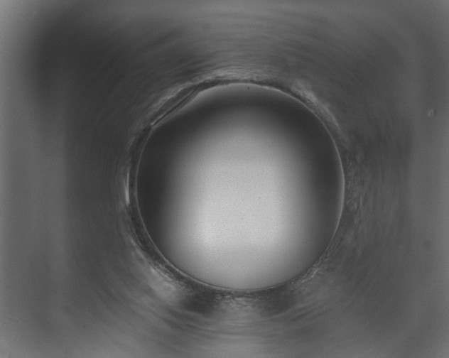 X0000073510062200608071106