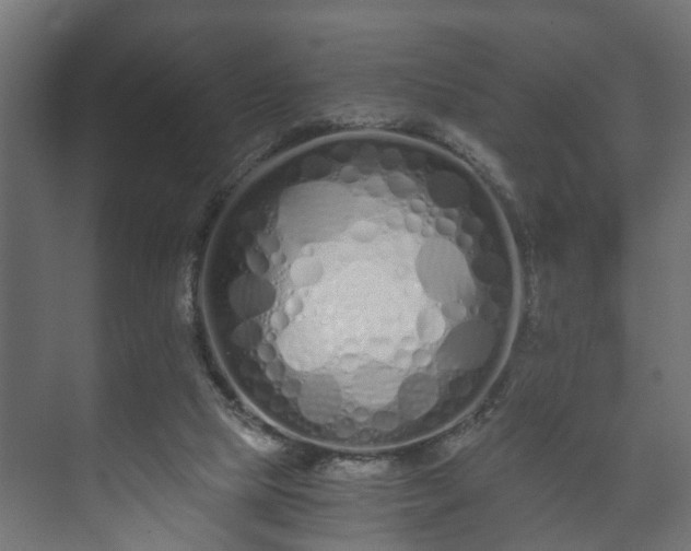X0000073510065200608071106