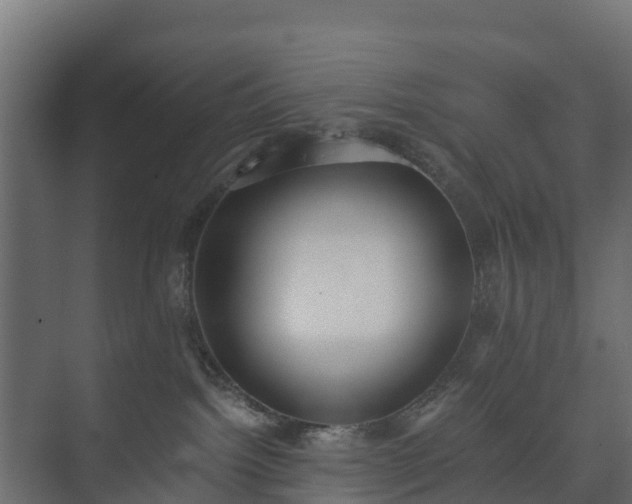 X0000073510092200608071107
