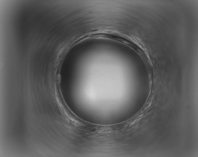 X0000073510097200608071106