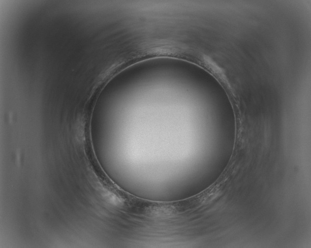 X0000073510106200608071106