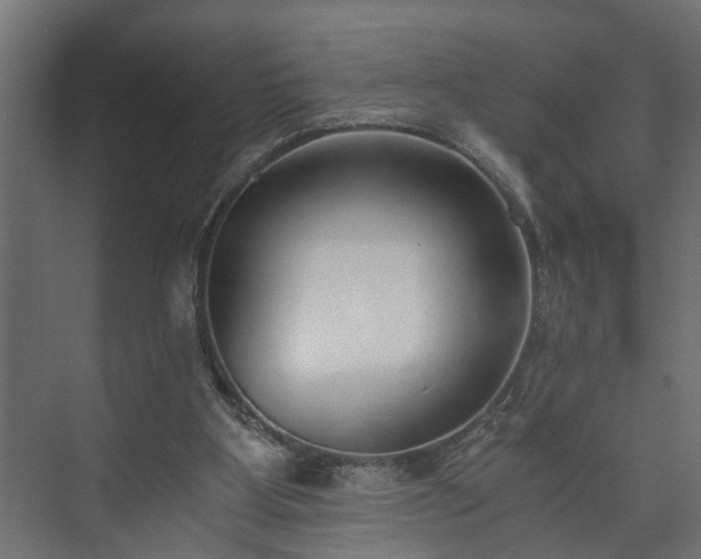X0000073510107200608071106