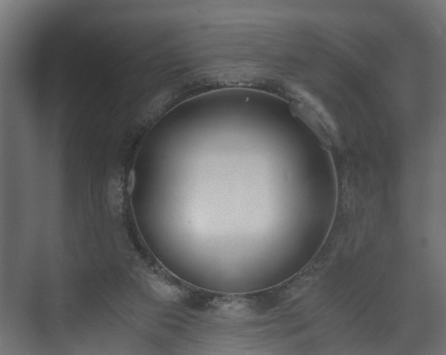 X0000073510113200608071106