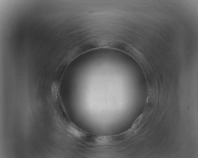 X0000073510142200608071105