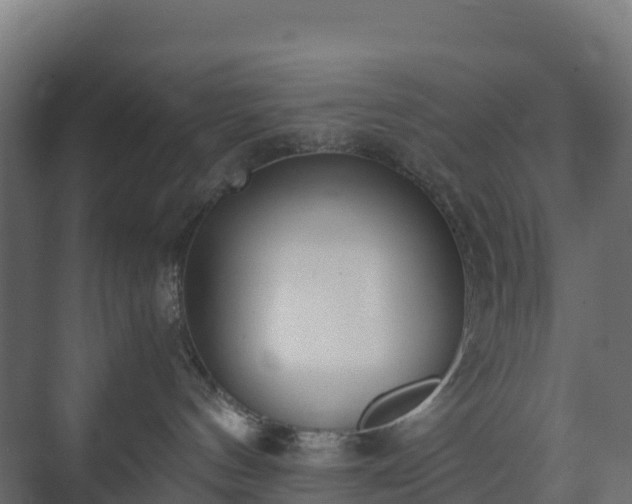 X0000073510144200608071105