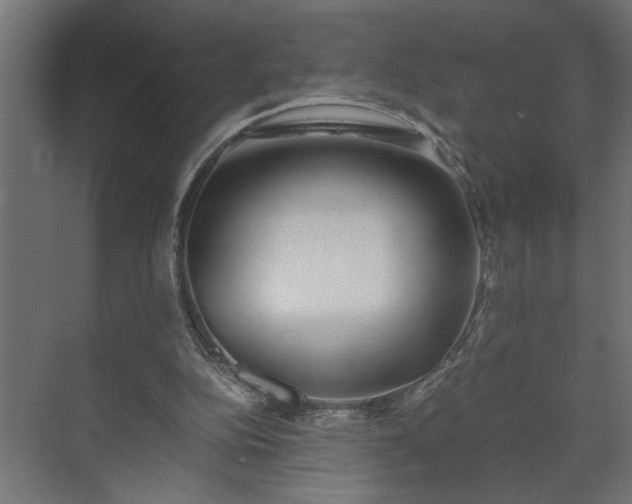 X0000073510152200608071104