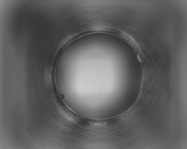 X0000073510155200608071104