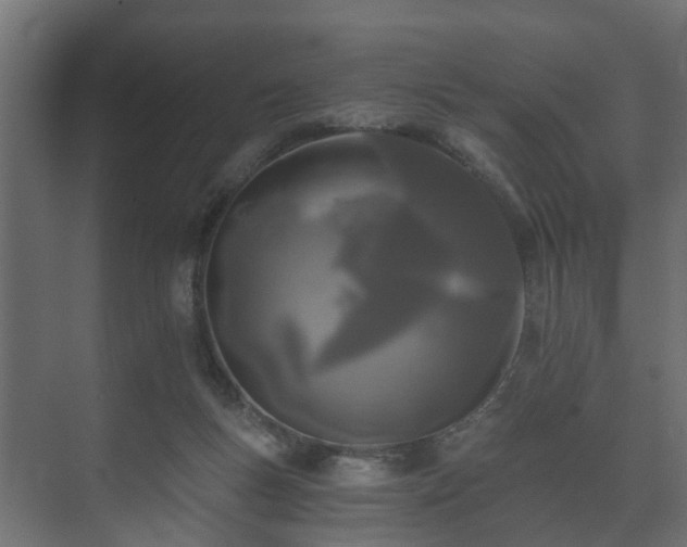 X0000073510167200608071105