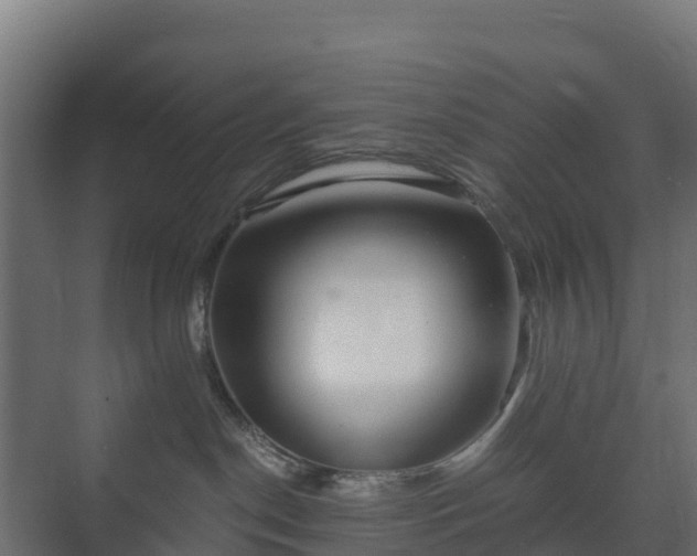 X0000073510190200608071105