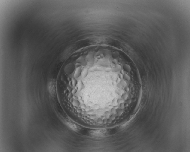 X0000073510191200608071105
