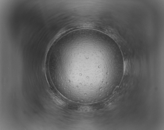 X0000073510195200608071104