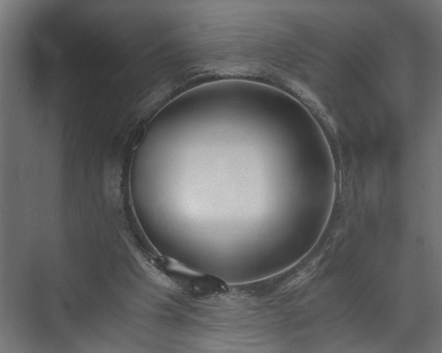 X0000073510201200608071104