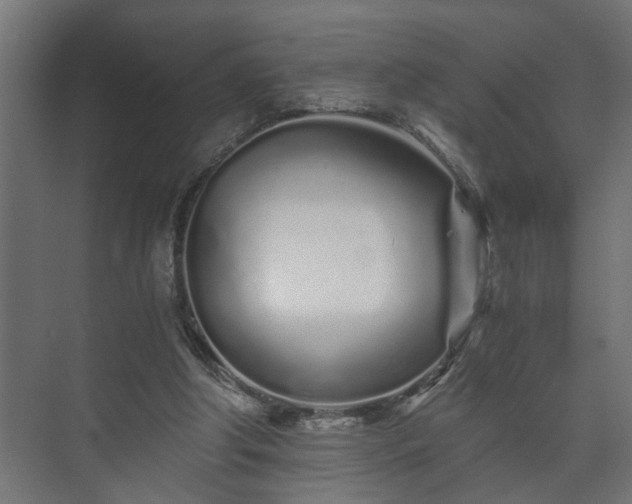 X0000073510202200608071104