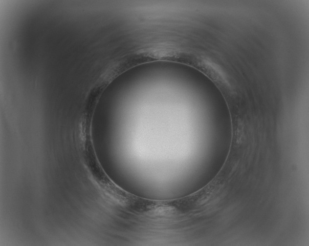 X0000073510210200608071104